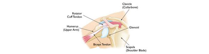 Shoulder-Instability